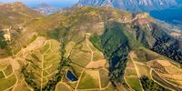 South Africa Celebrates 365th Anniversary Of First Wine