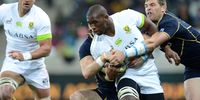 Siya Kolisi of South Africa attacks during the Castle Larger Incoming Tour match between South Africa and Scotland at Mbombela Stadium on June 15, 2013 in Nelspruit, South Africa. (Photo: Duif du Toit/Gallo Images)