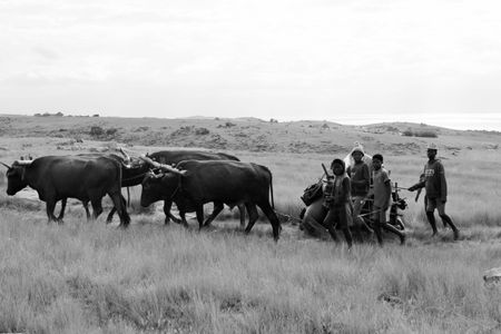 I have a picture for you! 25 October-31 October 2025