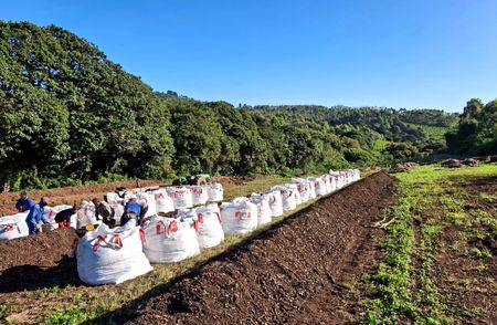 SA farmers turn to new strategies as war sees fertiliser prices soar