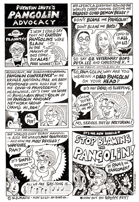 Poynton Shute’s Coronavirus Novel