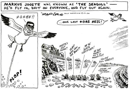 The Seagull