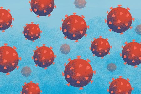 Ivermectin and Covid-19: what we still don’t know