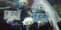 David Heilman (L) and Charlene Jimenez of Nevada hold up a sign after they were married in a 117,000-gallon salt-water aquarium at the Silverton Casino Lodge July 7, 2007 in Las Vegas, Nevada. The couple won the "Take the Plunge" underwater wedding contest which included a reception and a honeymoon in Vancouver, Canada. Wedding planners say a flood of couples are marrying on 7/7/07 due to the numerical and superstitious significance of the date.  (Photo by Ethan Miller/Getty Images for Silverton Casino Lodge)