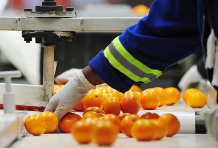 How the loss of Agoa could hit South Africa’s citrus exports