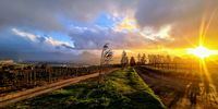 Rural bliss. Photographer: David Swart