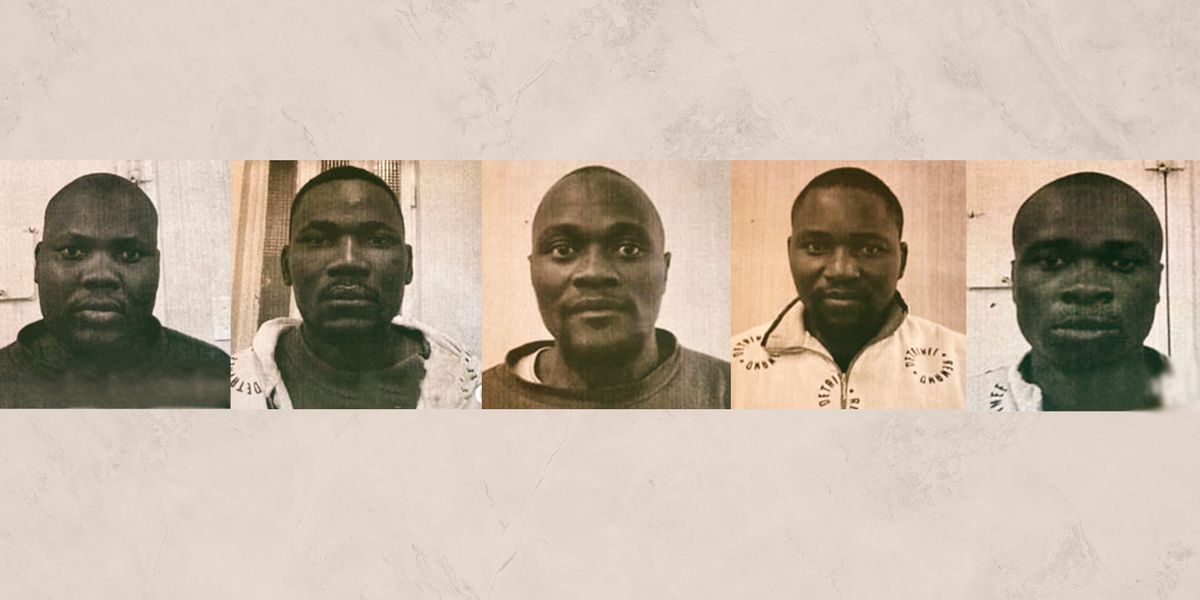 Hefty sentences for rhino poachers as new wildlife trafficking strategy ...