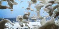 The Ocean's Soul. Photographer: Hanlie Booyens
