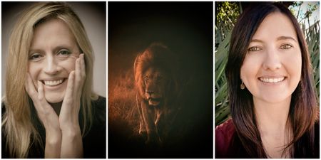 Top scientists make $3bn plea to rich nations to help conserve Africa’s lions