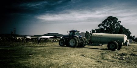 The Estina/Vrede dairy scandal: A Gupta project from beginning to end