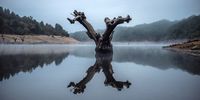 epa09420424 View of the reservoir O Bao in Viana do Bolo, Galicia, Spain, 19 August 2021. Galician reservoirs are at a 46 per cent of capacity, a 27 per cent less than the previous year.  EPA-EFE/Brais Lorenzo