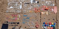 The micro plastic collected from a 10m ‘Dirty Dozen’ transect on the Transloper Project 2020 expedition. (Photo: Supplied)