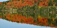 Indian summer in Canada. Photographer: Rolf Bolleter