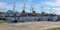 Several fishing vessels owned by an Argentine company with significant Chinese investment lie at dock in Buenos Aires. Two of the vessels have records of disembarking dead crew members in Montevideo, a Uruguayan port. (Photo: Pedro Soto)