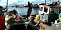 President Ramaphosa, small-scale fishers cannot be ignored any longer