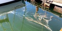 Oil residue on the water surface in the False Bay Yacht Club after the Cable Restorer sank on 25 September 2023. (Photo: Sourced)