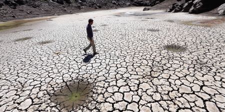 Karoo town of Beaufort West and local farms parched and running out of water