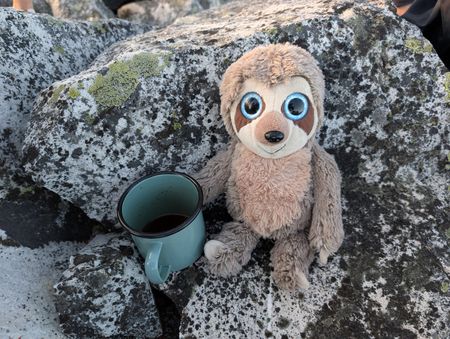 Tamsin tests the waters