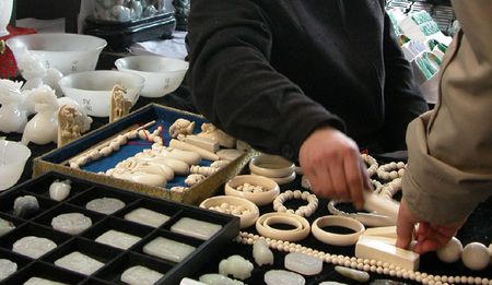 Wildlife Trafficking: The Sordid Connection