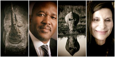 SANParks executives say Kruger’s threatened rhino population ‘not too far’ from stability