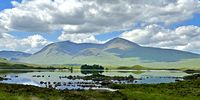 [The Trossachs, Scotland]. Photographer: [Darryl Harrisberg].
