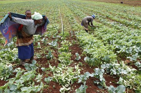 SA's land conundrum: Why we should worry, but not panic. Yet.