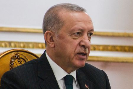 Erdogan Replaces Finance Minister as Rate Cuts Deepen Rifts