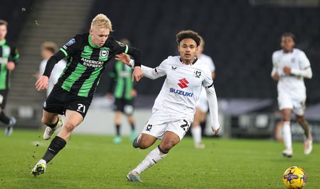 Brighton have risen to dizzying heights thanks to a solid blueprint, shrewd business and a poker face