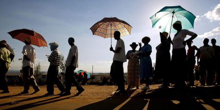 Top survival tips for election queues
