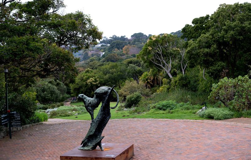 Here’s how to return Kirstenbosch to greatness