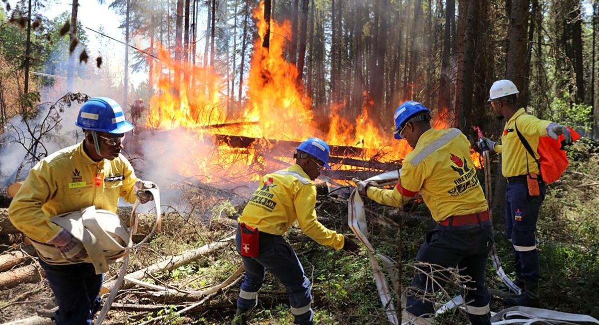 Courage under fire: South Africa's firefighters on what it's like on ...