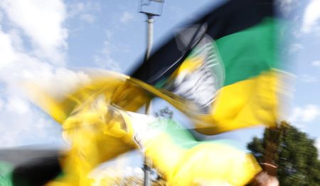 Road to Mangaung: Who will muzzle the guardians?