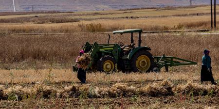 We need a new political economy of land reform, not farms without farmers and farmers without farms