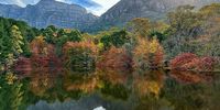 Autumn in Capetown. Photographer: Wendy Hogarth