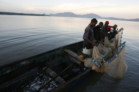 Rising demand from China pushes up illegal depletion of Lake Victoria’s Nile perch swim bladders