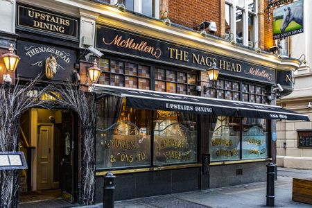 Beyond the Stainless Blue: Out of Africa, into the Rabbit Hole