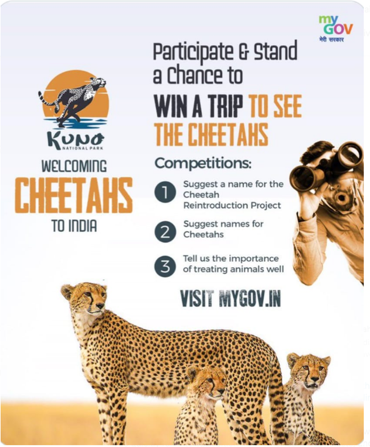 Translocation of SA cheetahs to India — ‘there will be heartache and pain’