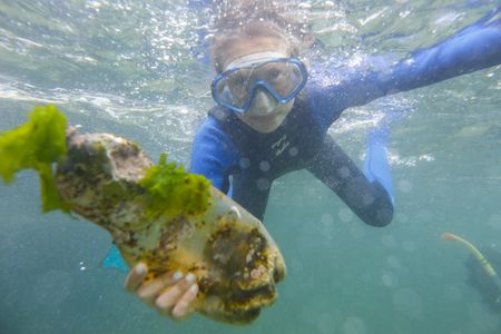 Africa must act against ballooning Indian Ocean plastic patch