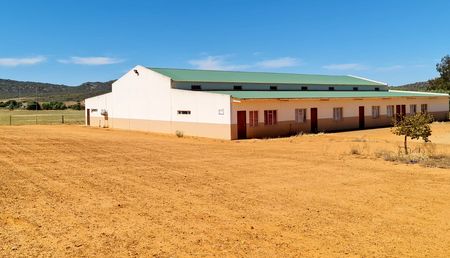 Empowering change: medical students tackle healthcare gaps in Western Cape's rural areas