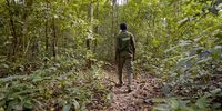 Emanuel Olabode walks through the Omo Reserve Forest where he has worked for nine years, safeguarding the wildlife and biodiversity.Photo:Wild Africa Fund