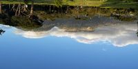 Early morning in Keurboom Park. Photographer: Jenni Bessesen<br>