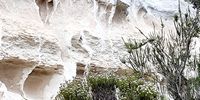 Windblown limestone c 15 - 25 million years, Grootbos, Overstrand. Image: Barbara Lindop 