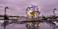 WIGAN, ENGLAND - NOVEMBER 18: Artist Luke Jerram's new 'Floating Earth' Debuts In Wigan on November 18, 2021 in Wigan, England. The floating Earth will hover over Pennington Flash for 10 days from November 19, as part of a celebration of Wigan and Leigh's watercourses. It is the first time one of Jerram's globes has been floated on an open expanse of water.<br> (Photo by Christopher Furlong/Getty Images)