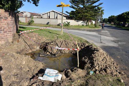 Nelson Mandela Bay’s ‘temporary’ electricity connections now permanent hazards for residents