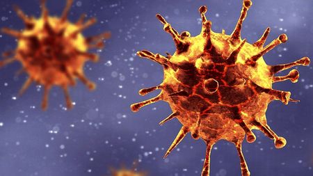 ‘Spike in infections’: WHO declares new Covid variant – but no evidence yet of increase in severity