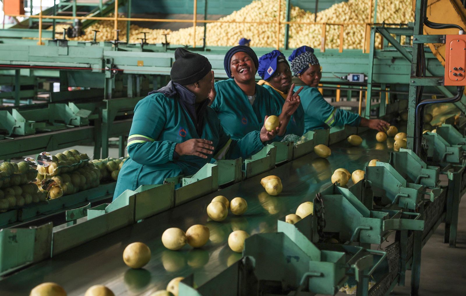 ‘Parallel governance’ — Sundays River citrus farmers fill the cracks in ...