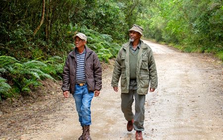 Treading in Strangefoot's path — the guardians of the Knysna forest