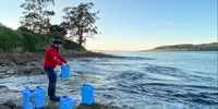 Here, lead author Maarten De Brauwer collects jerry cans of water from Tasmania’s Derwent River to document hundreds of species in the estuary. Bruce Deagle, CC BY-ND