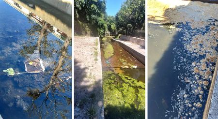 Neglect turns Cape Town’s Diep River Canal into a stinking sewage trap