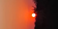  Kruger sunset. Photographer: Derek Reynish